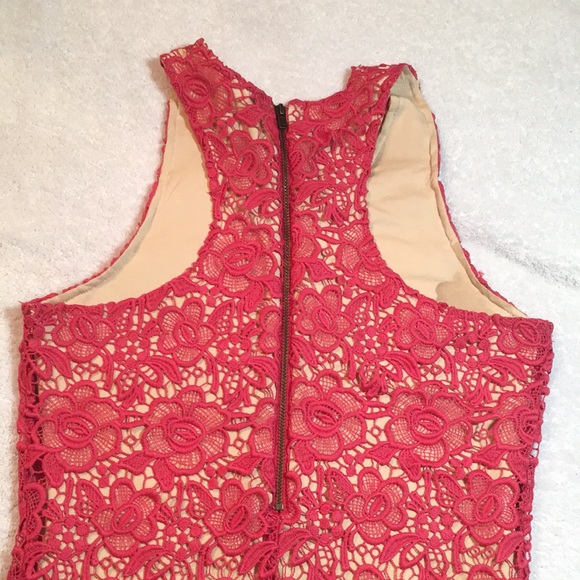 Lovers + Friends pink lace dress - Picture 9 of 11